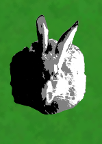 Hase